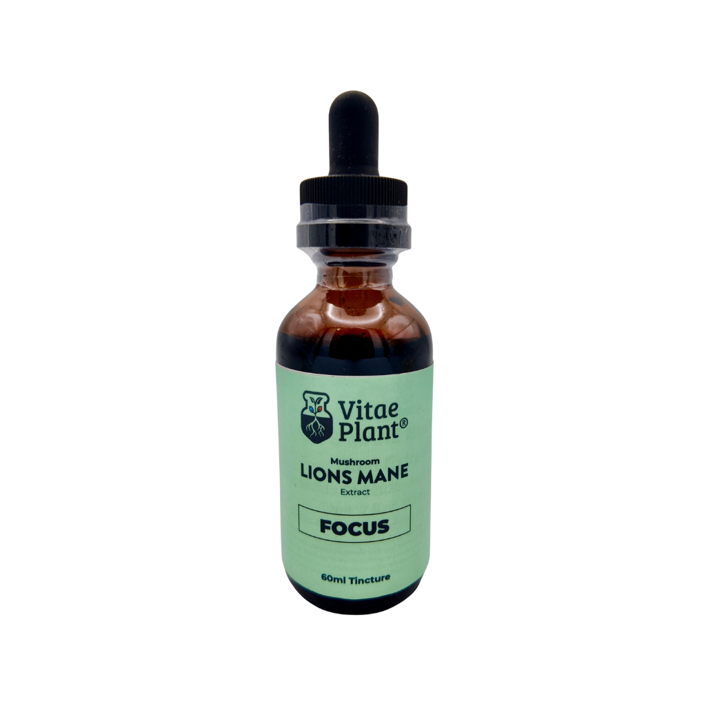 Vitae Plant Lion's Mane Mushroom Tincture 60ml (2oz)
