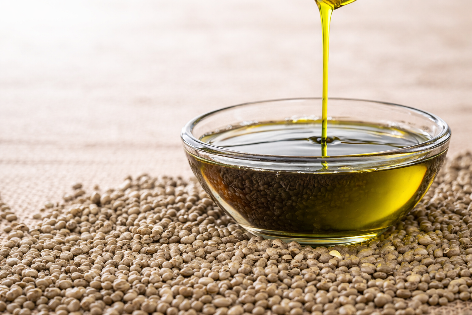 Organic Hemp Seed Oil