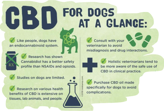 Pain-Less Pets 50mg Tablets