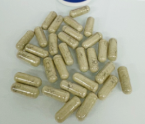 COGNITION Mushroom Blend Capsules Reishi Cordyceps Turkey Tail Lion's Mane