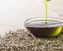Organic Hemp Seed Oil